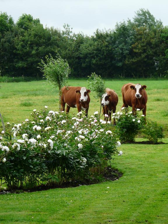 Bed and Breakfast Landgoedlogies Pabema Zuidhorn Экстерьер фото